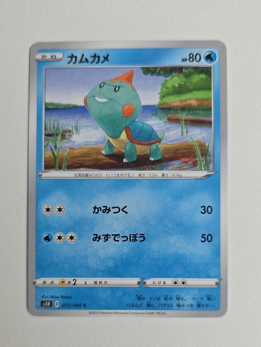 Pokemon Chewtle Trading Card - Picture 3 of 4